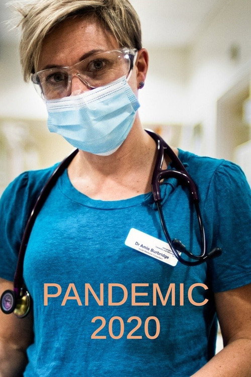Pandemic 2020 (2021) TV show poster