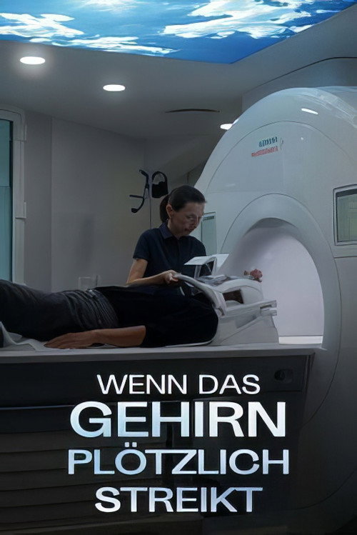 Als ich für acht Stunden verschwand (2024) movie poster