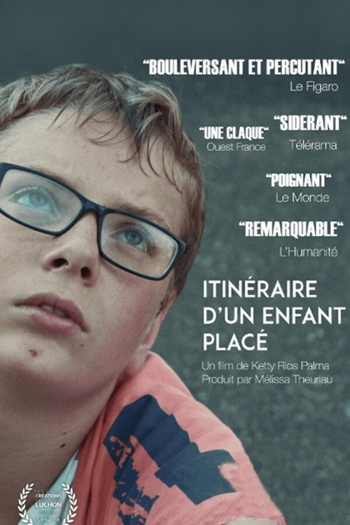 Itinéraire d'un enfant placé (2017) movie poster