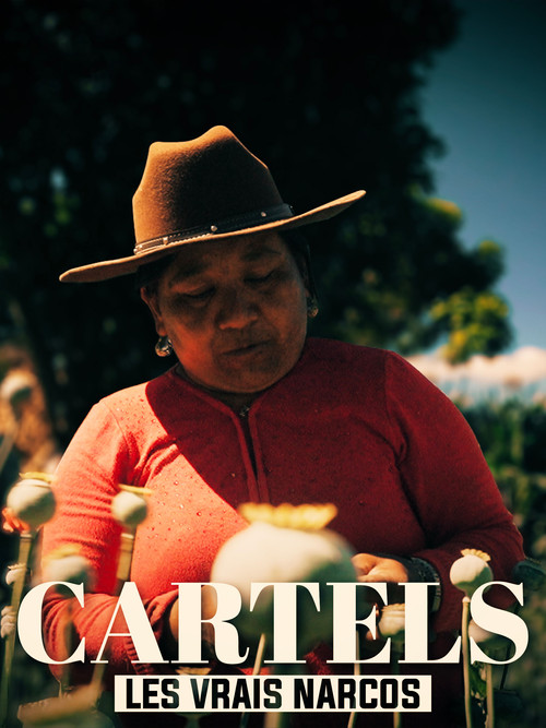 Les vrais Narcos (2020) movie poster