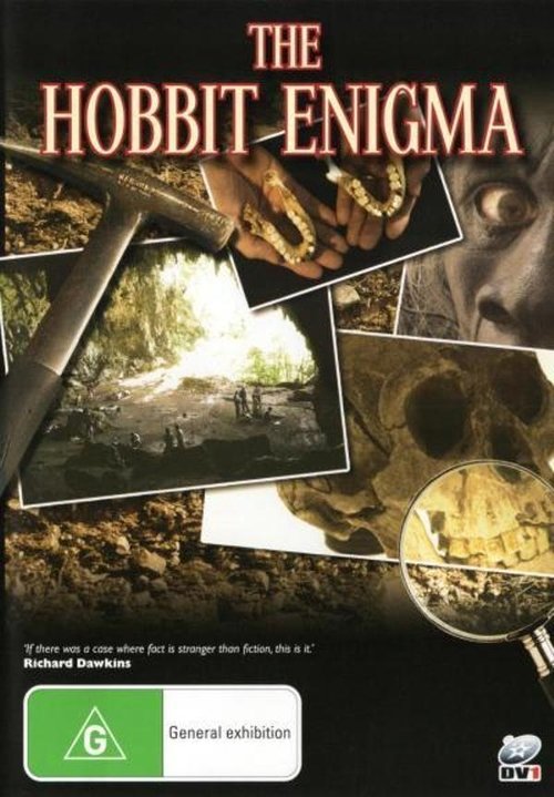 The Hobbit Enigma (2008) movie poster