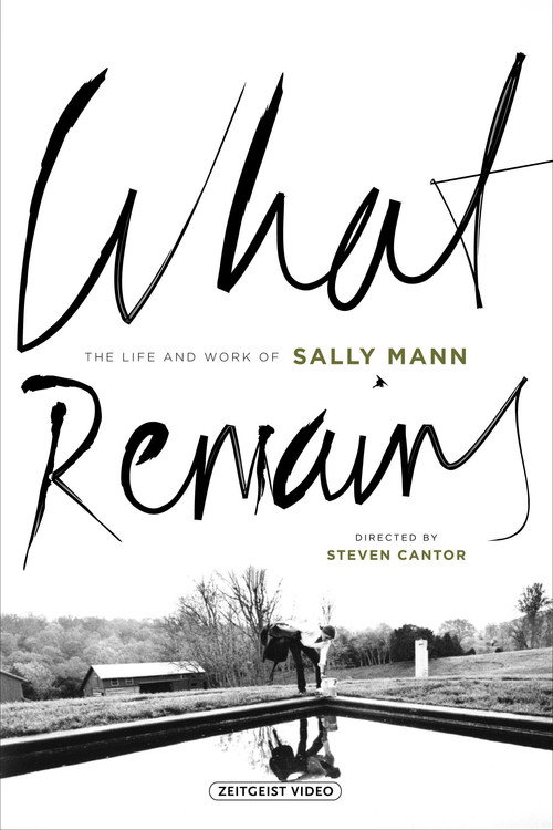 What Remains (2005) movie poster