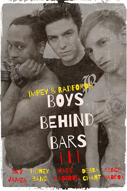 Boys Behind Bars 3 (2015) movie poster