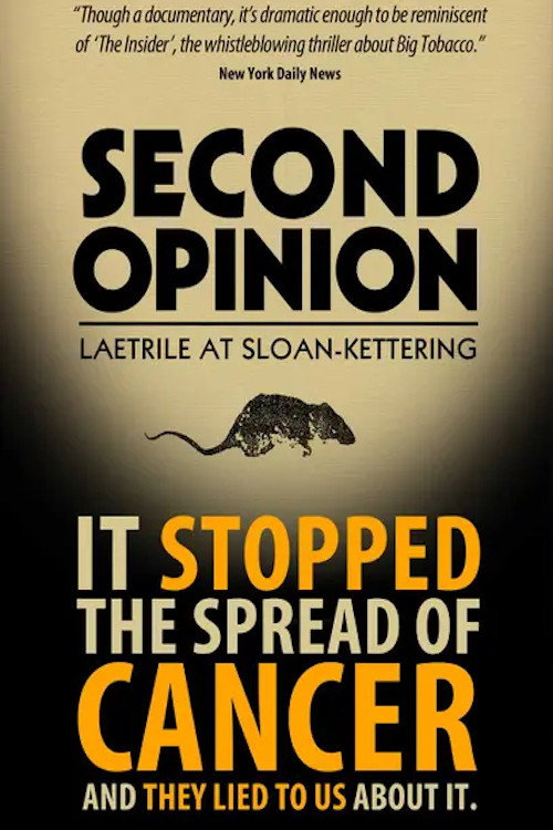 Second Opinion (2014) movie poster