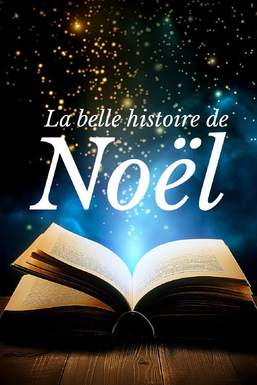 La belle histoire de Noël (2024) movie poster