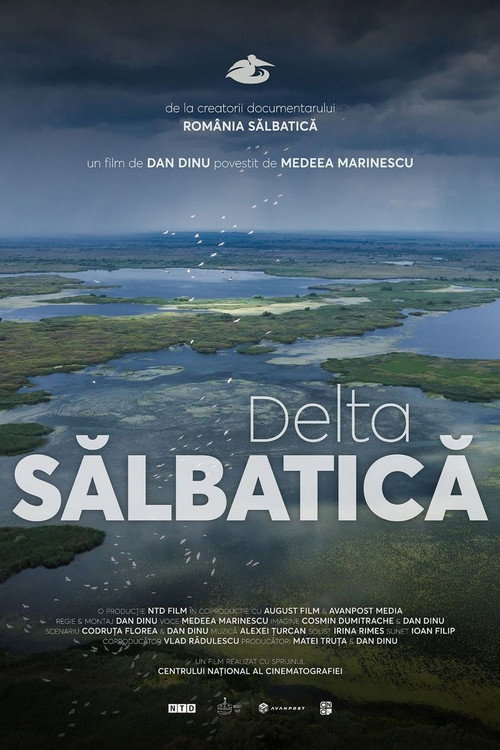 Wild Delta (2026) movie poster