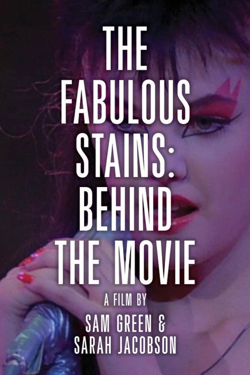 The Making of Ladies and Gentlemen, Fabulous Stains (1999) movie poster