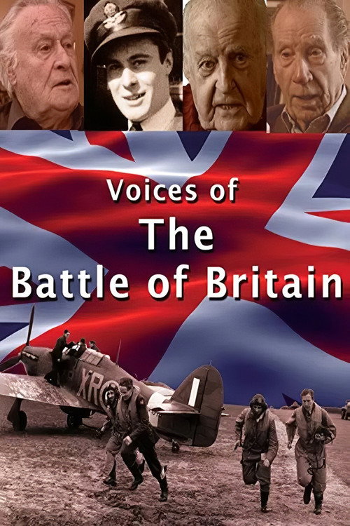 Voices of the Battle of Britain (2015) movie poster