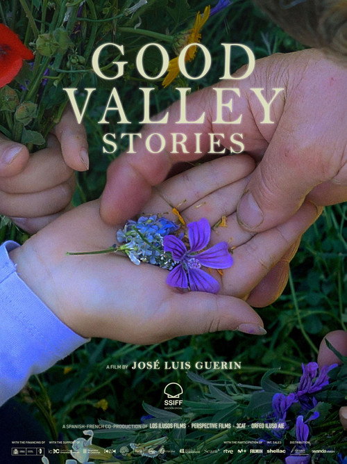 Good Valley Stories (2025) movie poster