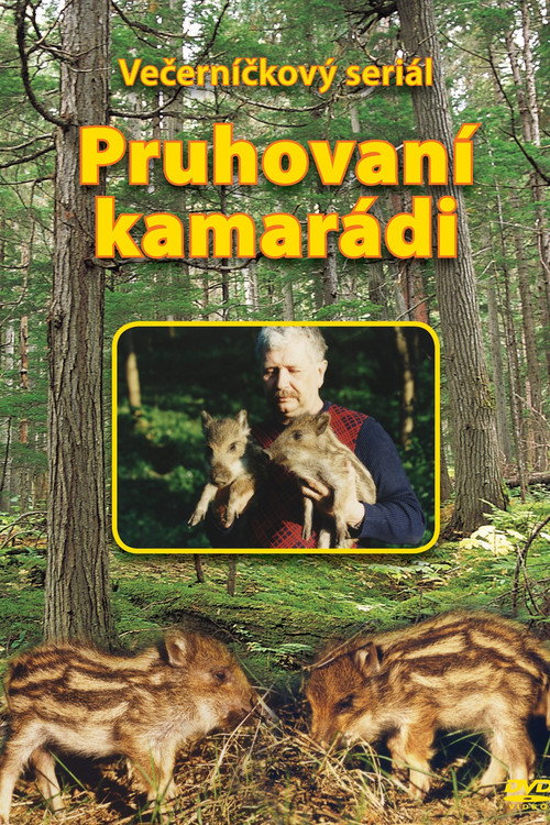 Pruhovaní kamarádi (1998) TV show poster