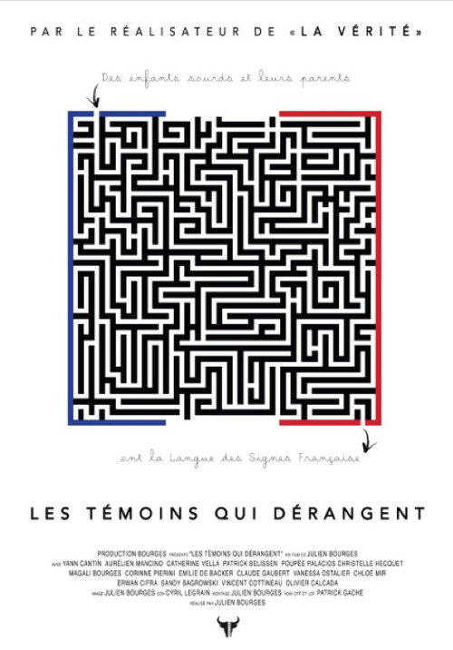 Les témoins qui dérangent (2016) movie poster