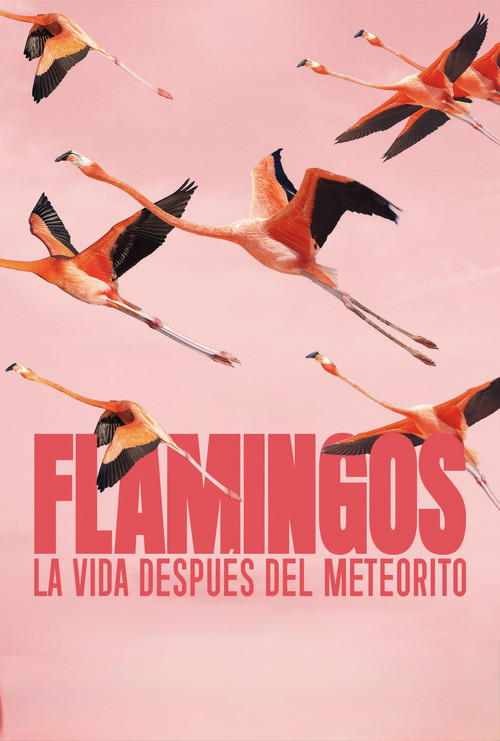 Flamingos: Life After the Meteorite (2026) movie poster