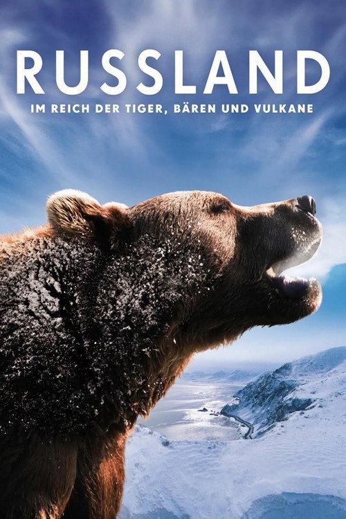 Russia - In the Realm of Tigers, Bears and Volcanoes (2011) movie poster
