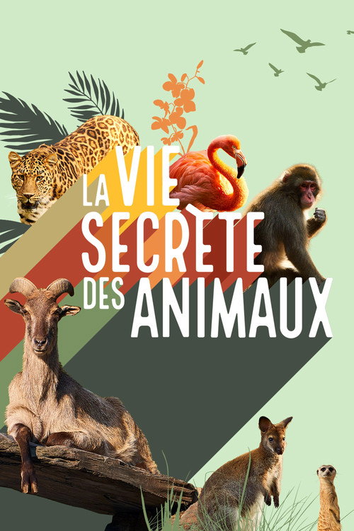 La vie secrète des animaux (2021) TV show poster