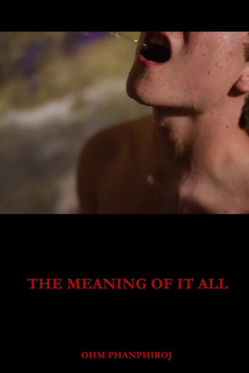 The Meaning of It All (2018) movie poster