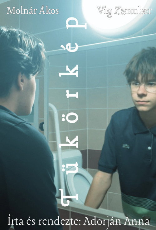 Reflection (2026) movie poster