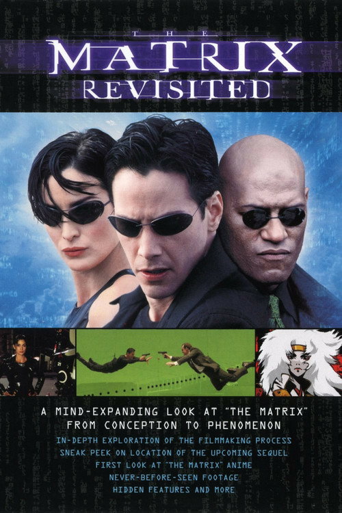 The Matrix Revisited (2001) movie poster