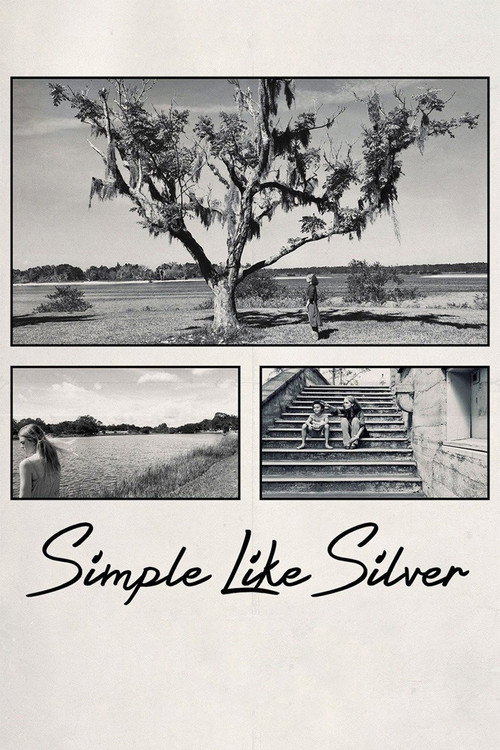 Simple Like Silver (2021) movie poster