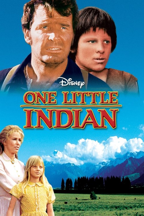 One Little Indian (1973) movie poster