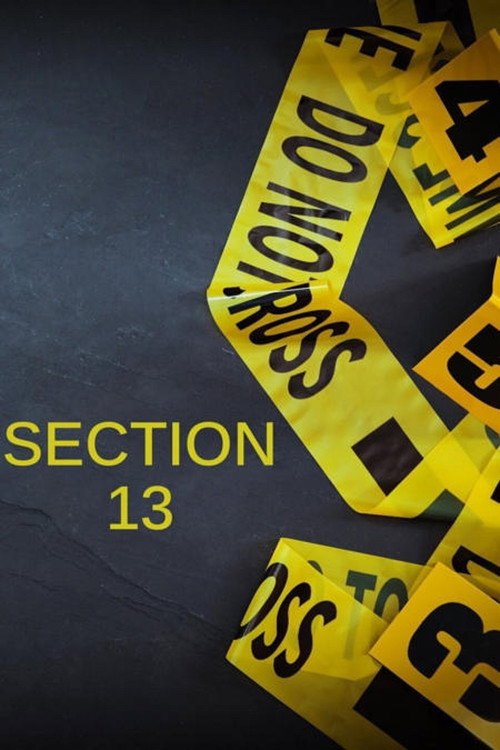 Section 13 (2013) TV show poster
