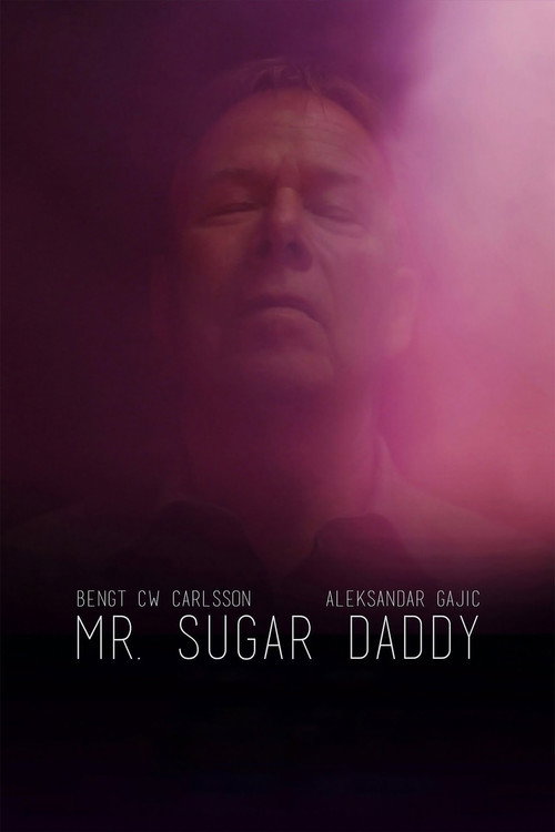 Mr. Sugar Daddy (2016) movie poster