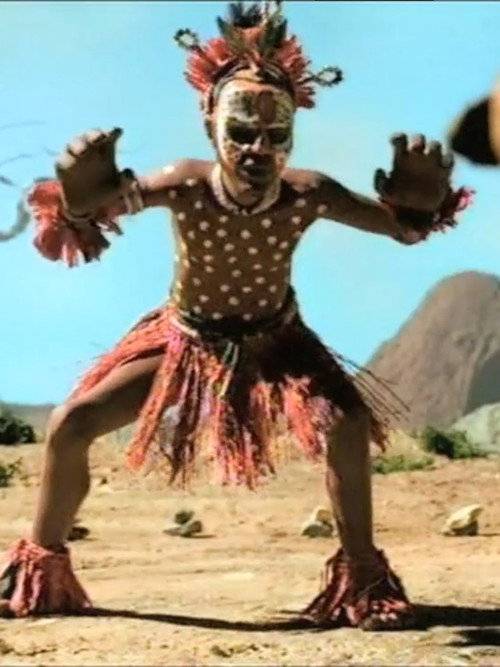 Chunga Chui Leopard Beware (2001) movie poster
