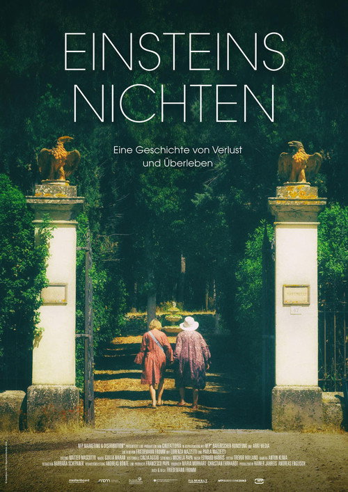 Einsteins Nichten (2017) movie poster