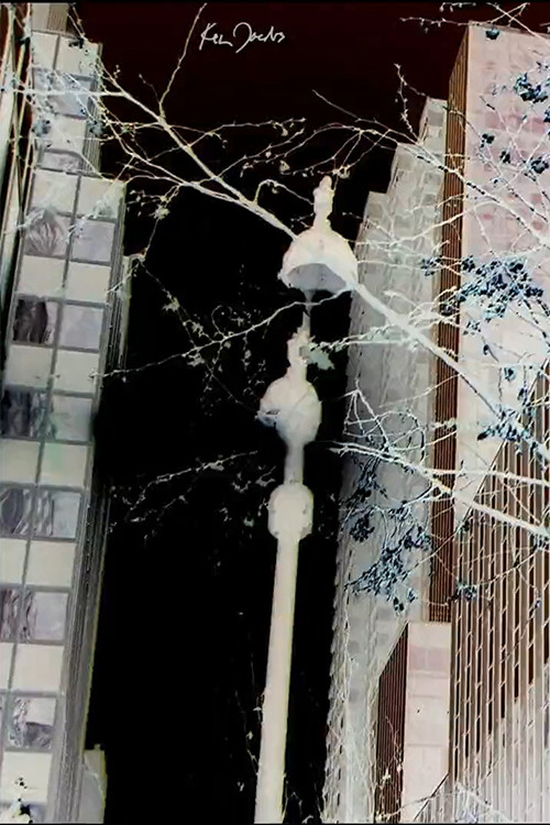 City Foliage (2020) movie poster