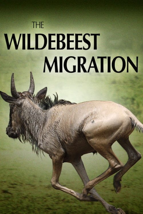The Wildebeest Migration: Nature's Greatest Journey (2012) movie poster