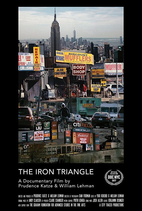 The Iron Triangle: Willets Point and the Remaking of New York (2017) movie poster
