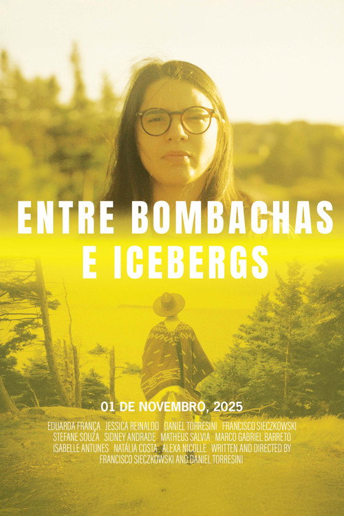 Between Icebergs and Gaucho Pants (2025) movie poster