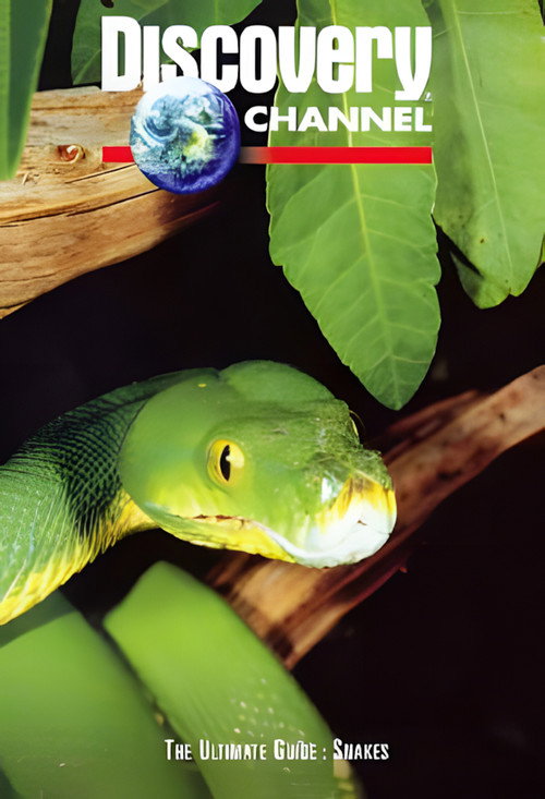 The Ultimate Guide: Snakes (1997) movie poster