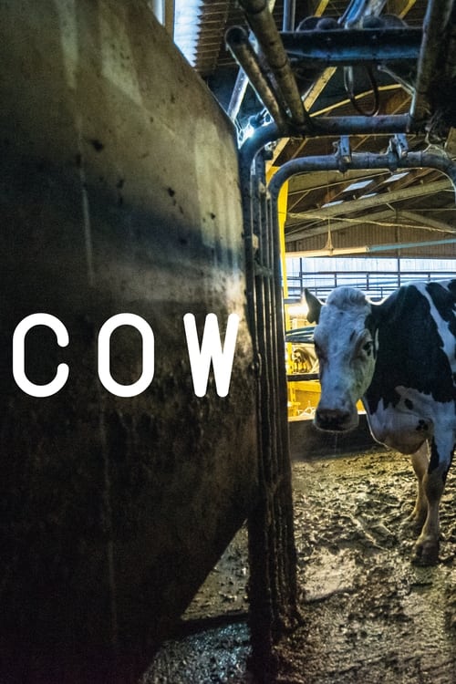 Cow (2022) movie poster