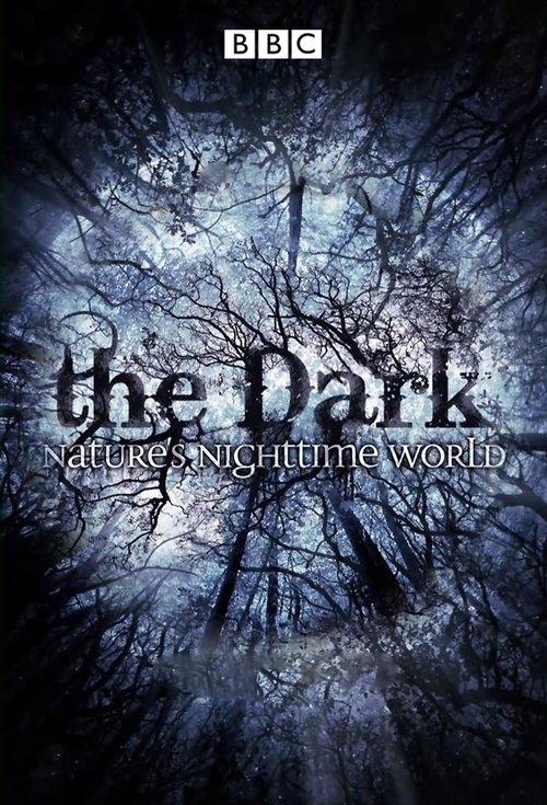 The Dark: Nature's Nighttime World (2012) TV show poster
