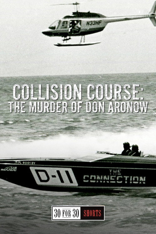Collision Course: The Murder of Don Aronow (2013) movie poster