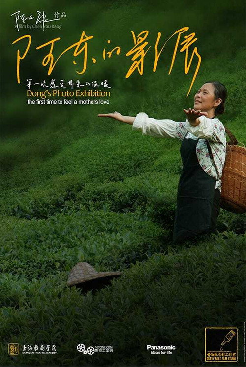 Dong's Photo Exhibition (2012) movie poster