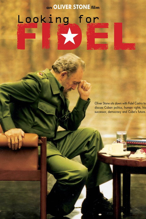 Looking for Fidel (2004) movie poster