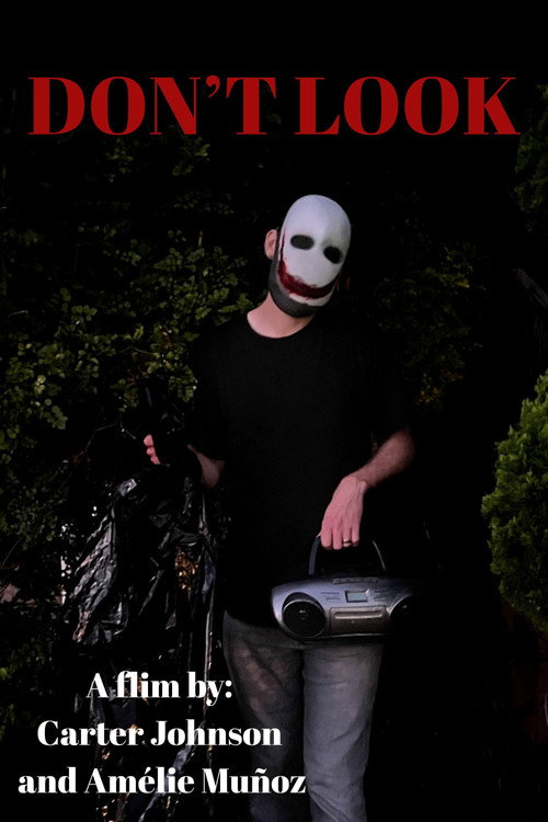 Don't Look (2024) movie poster