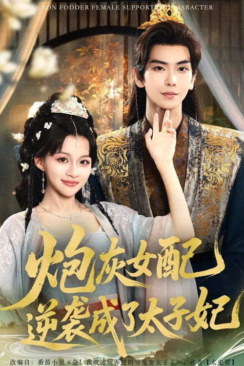 炮灰女配逆袭成了太子妃 (2025) TV show poster