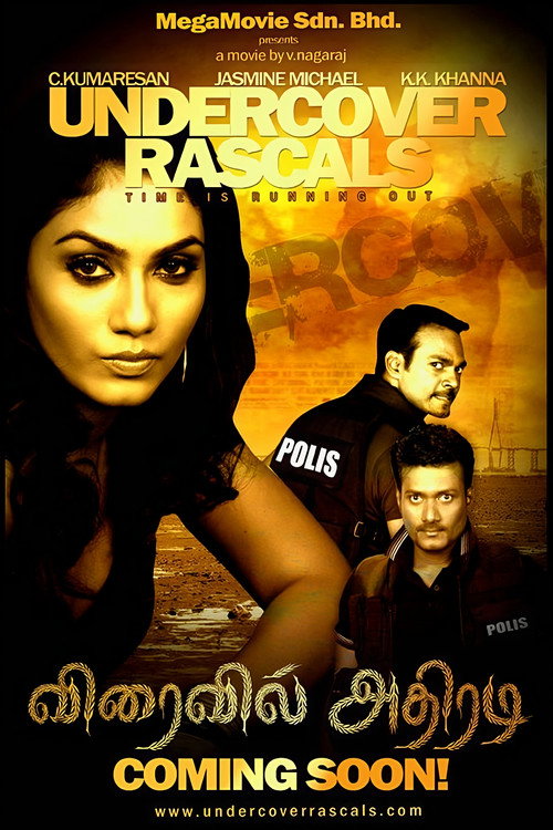 Undercover Rascals (2010) movie poster