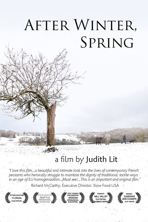 After Winter, Spring (2012) movie poster