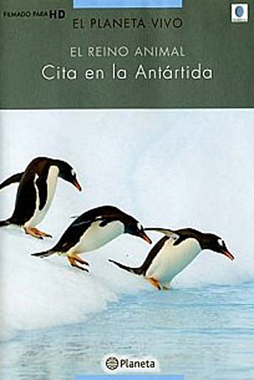 Rush Hour in Antarctica (2004) movie poster