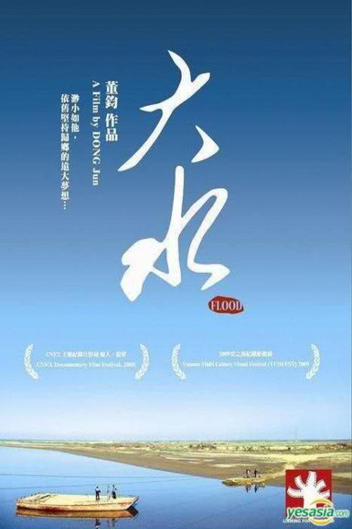 Flood (2008) movie poster