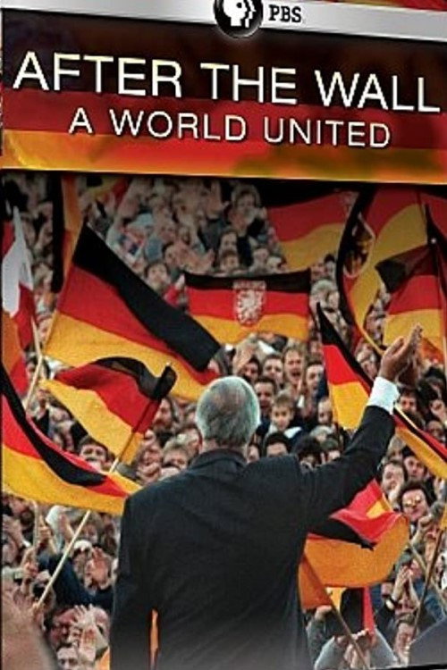After the Wall: A World United (2011) movie poster