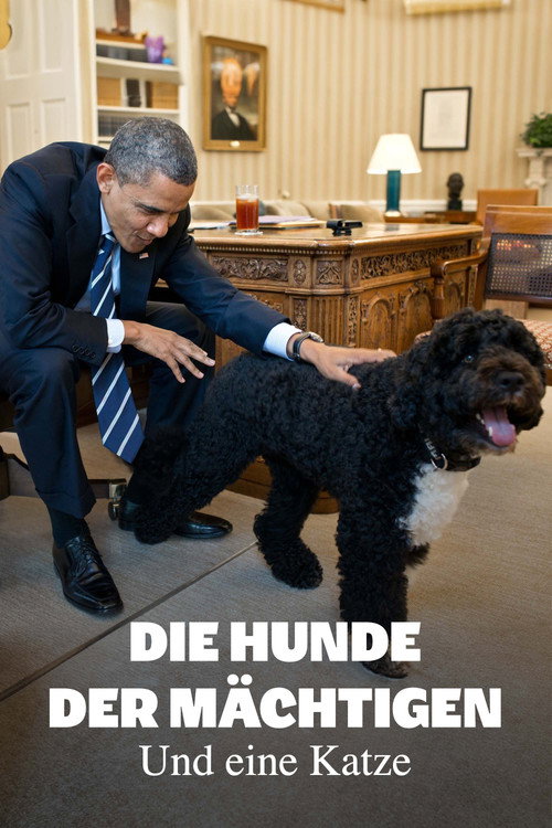 Die Hunde der Mächtigen - und eine Katze (2024) movie poster