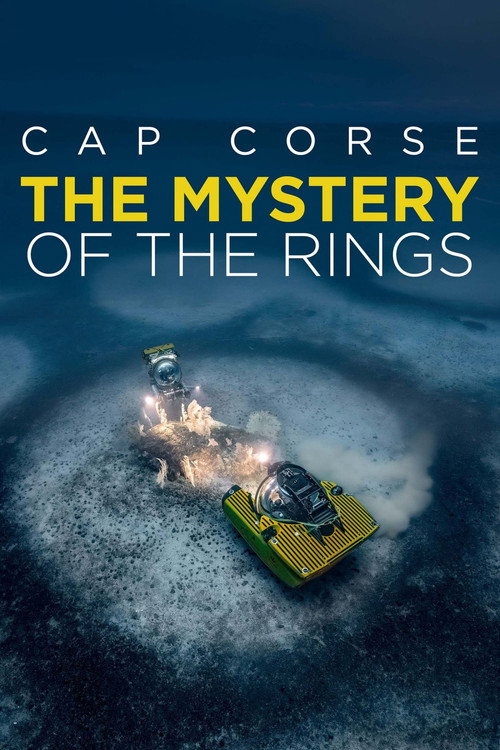 The Mystery of the Med Rings (2024) movie poster