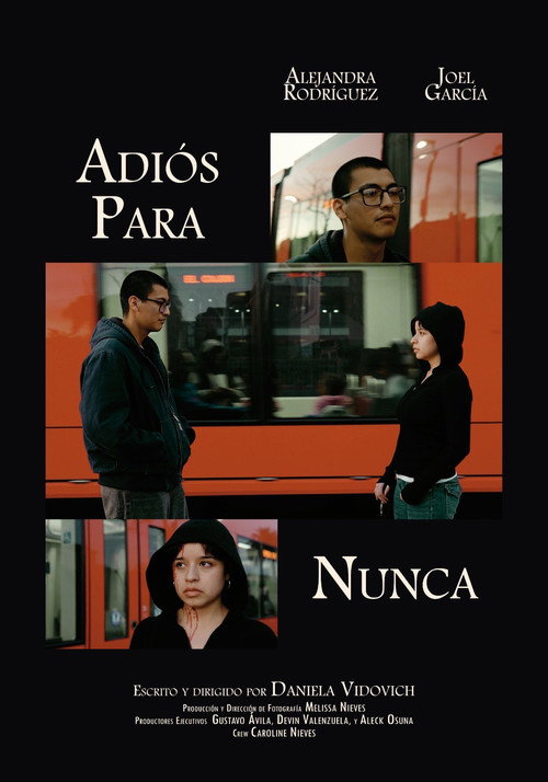 Adiós Para Nunca (2026) movie poster