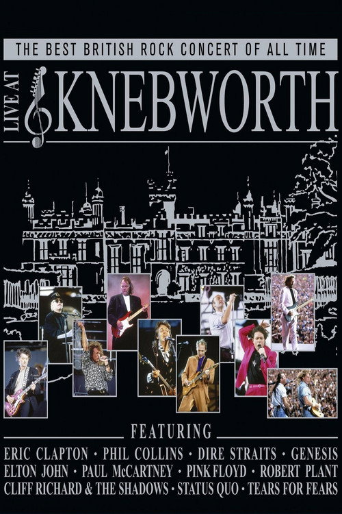 The Best British Rock Concert of All Time: Live at Knebworth (2010) movie poster