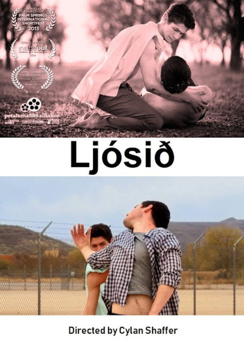 The Light (2013) movie poster