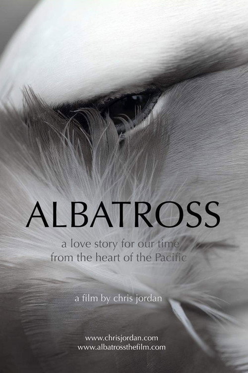 Albatross (2013) movie poster